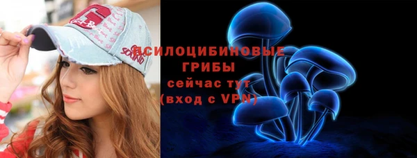 дурь Алексин