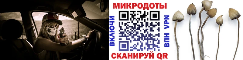Галлюциногенные грибы Magic Shrooms  закладки  мега зеркало  Вологда 
