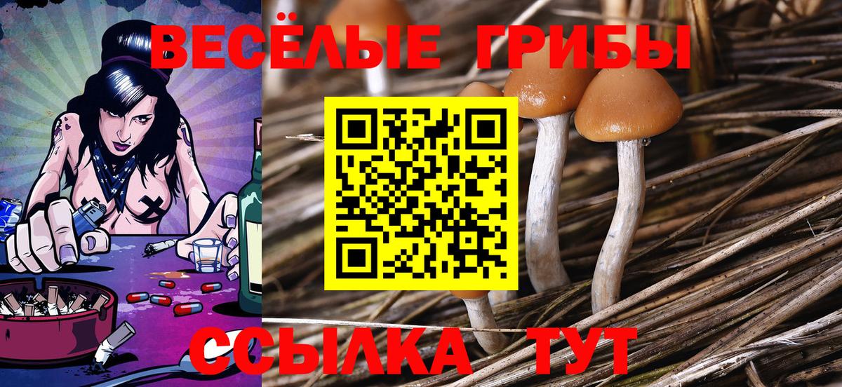 Галлюциногенные грибы мухоморы  Вход с VPN  Вологда 