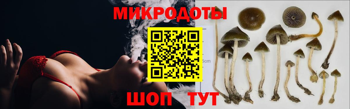 Псилоцибиновые грибы Magic Shrooms Вологда