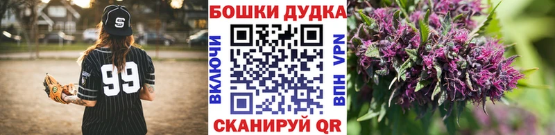 Бошки Шишки Amnesia  Вологда 